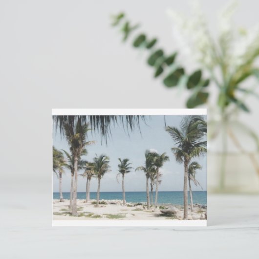 Cancun Palms Briefkaart (Staand voorkant)