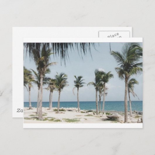 Cancun Palms Briefkaart (Voorkant / Achterkant)