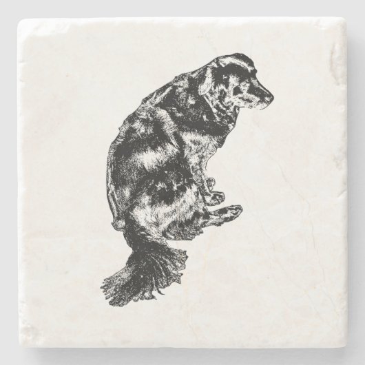Candlelight Edge — Retriever Stenen Onderzetter (Voorkant)