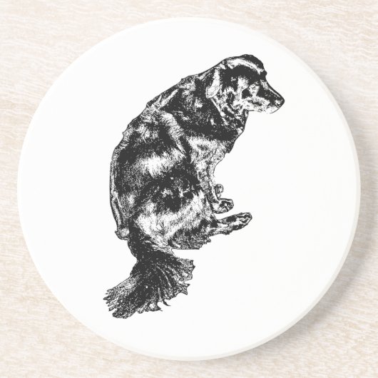 Candlelight Edge — Retriever Zandsteen Onderzetter (Voorkant)