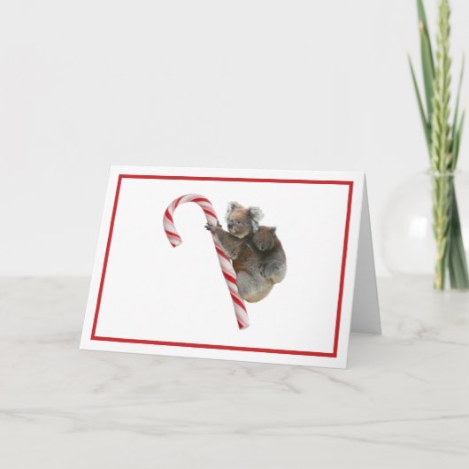 Candy Cane Australian Koala Beren Holiday Kaart (Voorkant)