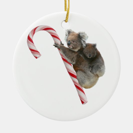 Candy Cane Australian Koala Beren Keramisch Ornament (Voorkant)