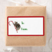 Candy Cane Australian Koala Beren Label (Insitu)