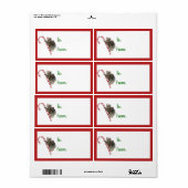 Candy Cane Australian Koala Beren Label (Full Sheet)
