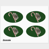 Candy Cane Australian Koala Beren Ovale Sticker (Vel)