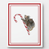 Candy Cane Australian Koala Beren Plaque Fotoplaat (Voorkant)