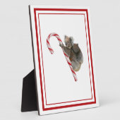Candy Cane Australian Koala Beren Plaque Fotoplaat (Zijkant)
