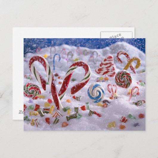 Candy Cane-bos Briefkaart (Voorkant / Achterkant)