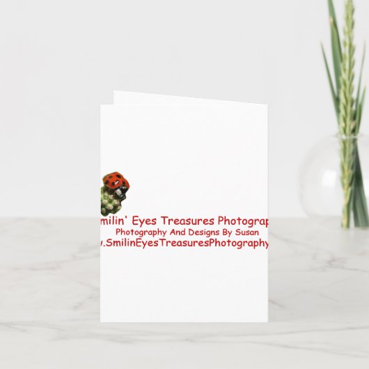 Candy Cane Bow Christmas Holiday Party Uitnodiging (Achterkant)