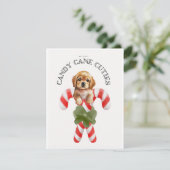 Candy Cane Cuties Hond Feestdagenkaart (Staand voorkant)