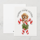 Candy Cane Cuties Hond Feestdagenkaart (Voorkant / Achterkant)