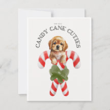 Candy Cane Cuties Hond