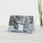 Candy Cane Decoratie - December Verjaardag Kaart (Voorkant)