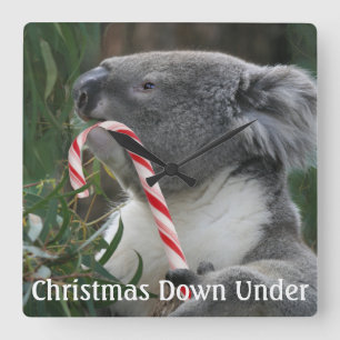 Candy Cane Eating Candy Cute Koala Vierkante Klok