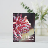 Candy Cane, Jingle Bells, Kerst Snoep Vakantie Briefkaart (Staand voorkant)