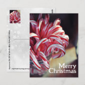 Candy Cane, Jingle Bells, Kerst Snoep Vakantie Briefkaart (Voorkant / Achterkant)