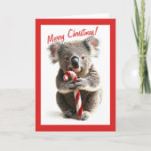 Candy Cane Koala Christmas Kaart (Voorkant)