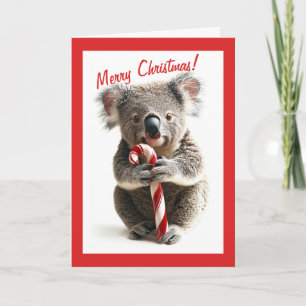 Candy Cane Koala Christmas Kaart