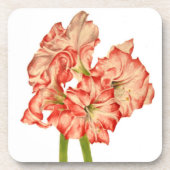 Candy Cane Lelies op Onderzetters (Voorkant)