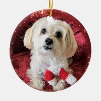 Candy Cane Morkie Dog Round-kerstversiering Keramisch Ornament