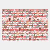 Candy Cane Pet Rattie Kerstmis! Inpakpapier Vel (Voorkant)