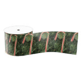 Candy Cane Ribbon Grosgrain Lint (Spoel)