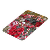 Candy Cane Ribbon Magneet (Linkerzijde)