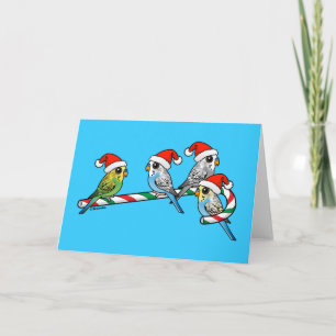 Candy Cane Santa Budgies Feestdagen Kaart