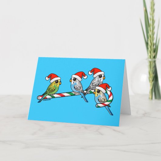 Candy Cane Santa Budgies Feestdagen Kaart (Voorkant)
