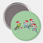 Candy Cane Santa Budgies Magneet (Voorkant / Achterkant)