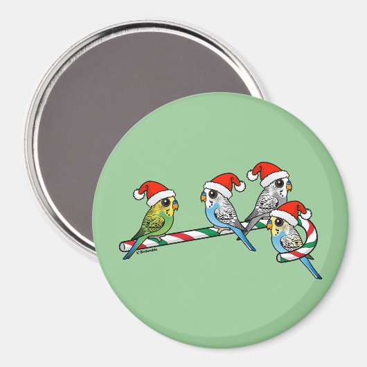 Candy Cane Santa Budgies Magneet (Voorkant / Achterkant)