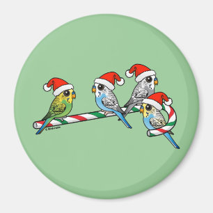 Candy Cane Santa Budgies Magneet