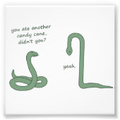 Candy Cane Snake Foto Afdruk (Voorkant)