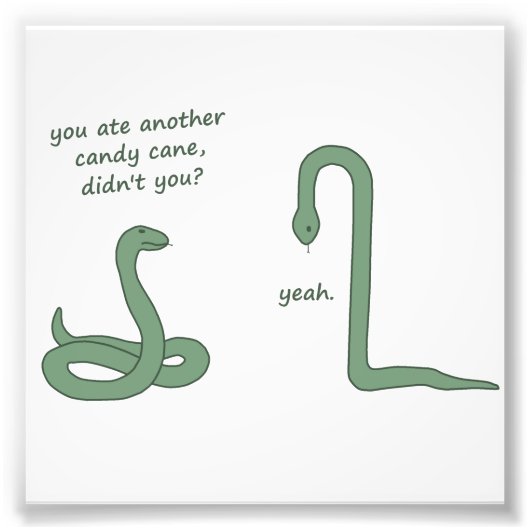 Candy Cane Snake Foto Afdruk (Voorkant)