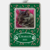Candy Canes Cat Foto Green Frame Verzilverd Omlijst Ornament (Voorkant)