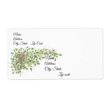 Candy Canes en Holly