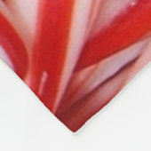 Candy Canes Fleece Blanket (Hoek)