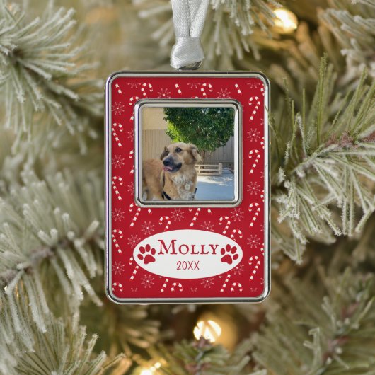 Candy Canes Pattern Dog Foto Red Framed Ornament (Boom)