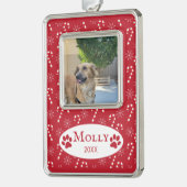Candy Canes Pattern Dog Foto Red Framed Ornament (Links)