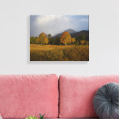 Candy Colors of Rocky Mountain National Park Canvas Afdruk (Insitu (Woonkamer))