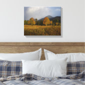 Candy Colors of Rocky Mountain National Park Canvas Afdruk (Insitu (Slaapkamer))