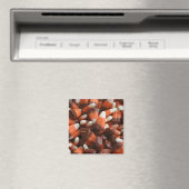 Candy Corn Magnet (Insitu (Vaatwasser))