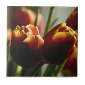 Candy Corn Tulips Ceramic Tile Tegeltje (Voorkant)