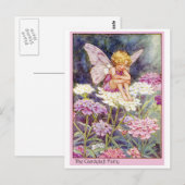 Candytuft fee briefkaart (Voorkant / Achterkant)