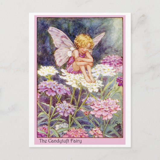 Candytuft fee briefkaart (Voorkant)