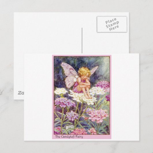 Candytuft fee briefkaart (Voorkant / Achterkant)