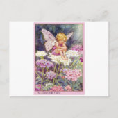 Candytuft fee briefkaart (Voorkant)