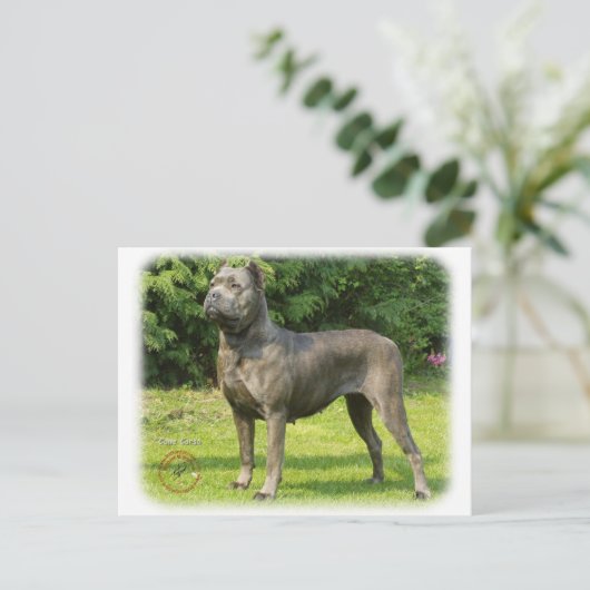 Cane Corso 8R056D-05 Briefkaart (Staand voorkant)