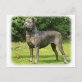 Cane Corso 8R056D-05 Briefkaart (Voorkant)