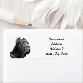 Cane corso-adresetiketten etiket (Insitu)